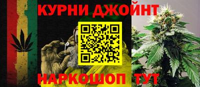 крисы Будённовск