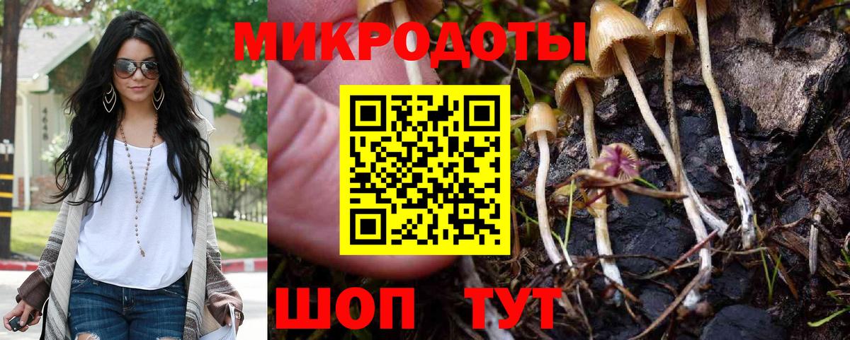 Прохладный  Псилоцибиновые грибы Psilocybe  Галлюциногенные грибы MAGIC MUSHROOMS  Вход с VPN 